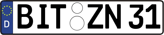 BIT-ZN31