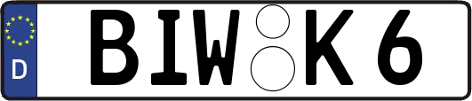 BIW-K6