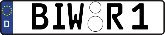 BIW-R1