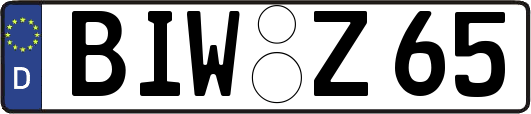 BIW-Z65