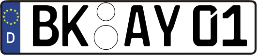 BK-AY01