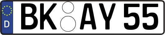 BK-AY55