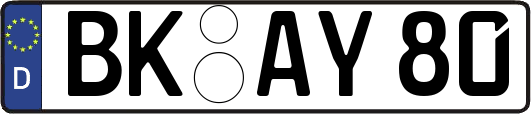 BK-AY80