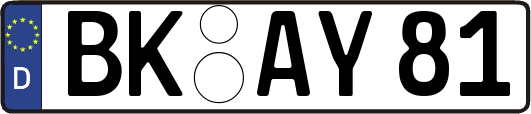 BK-AY81