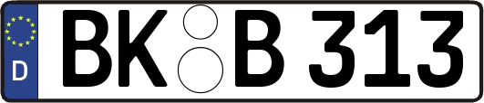 BK-B313