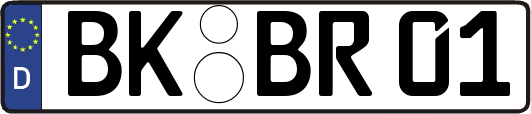 BK-BR01