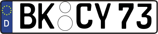 BK-CY73