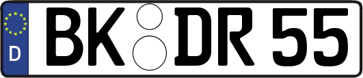BK-DR55