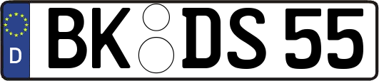 BK-DS55