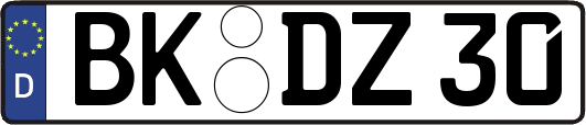 BK-DZ30