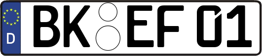 BK-EF01