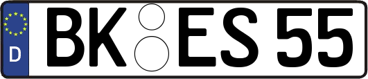 BK-ES55