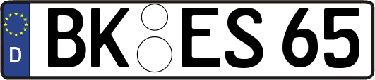 BK-ES65
