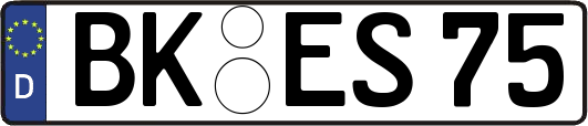 BK-ES75