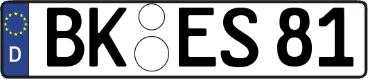BK-ES81