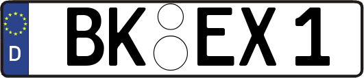 BK-EX1