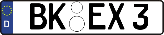 BK-EX3