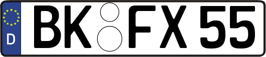 BK-FX55
