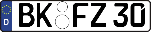 BK-FZ30