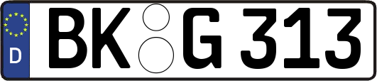 BK-G313