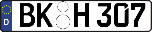 BK-H307