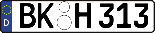BK-H313