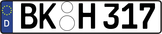 BK-H317