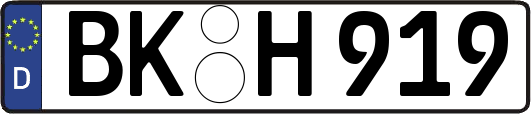 BK-H919