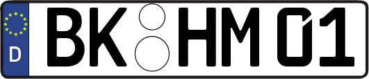 BK-HM01