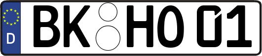 BK-HO01