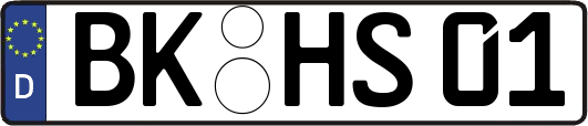 BK-HS01