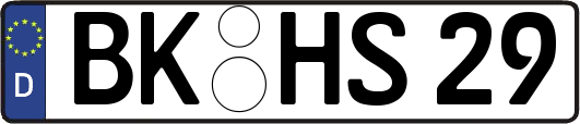 BK-HS29