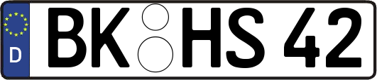 BK-HS42