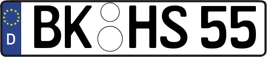 BK-HS55