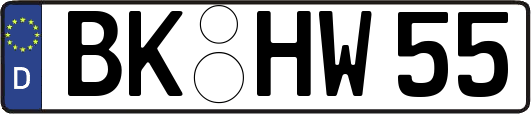 BK-HW55