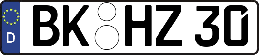 BK-HZ30