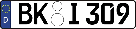 BK-I309