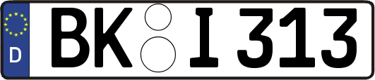 BK-I313