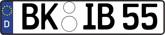 BK-IB55
