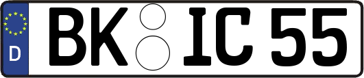 BK-IC55