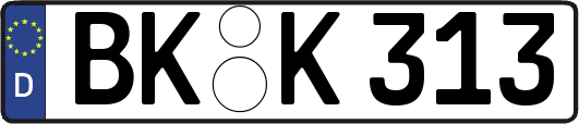 BK-K313