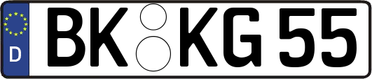 BK-KG55