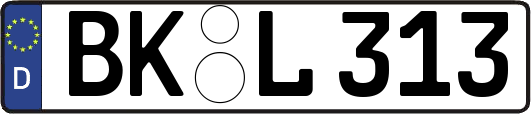 BK-L313