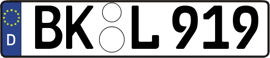 BK-L919