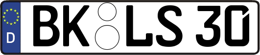 BK-LS30