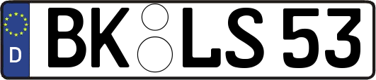 BK-LS53