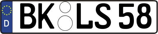BK-LS58