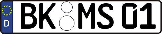 BK-MS01