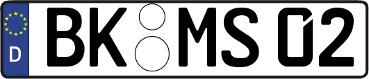 BK-MS02