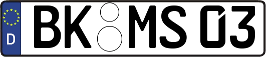 BK-MS03